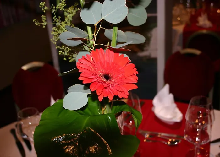 Hotel Castel Vecchio Ajaccio 